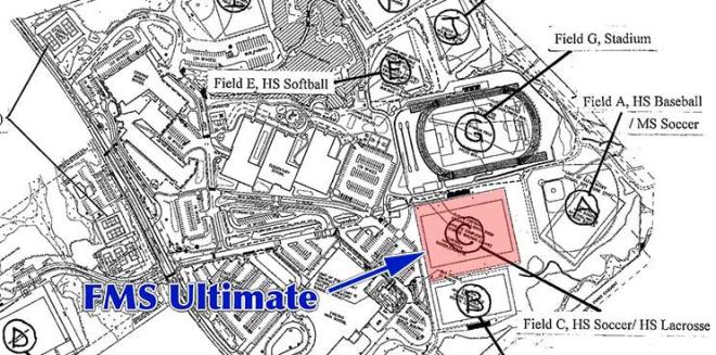 field-C-FMS-ultimate