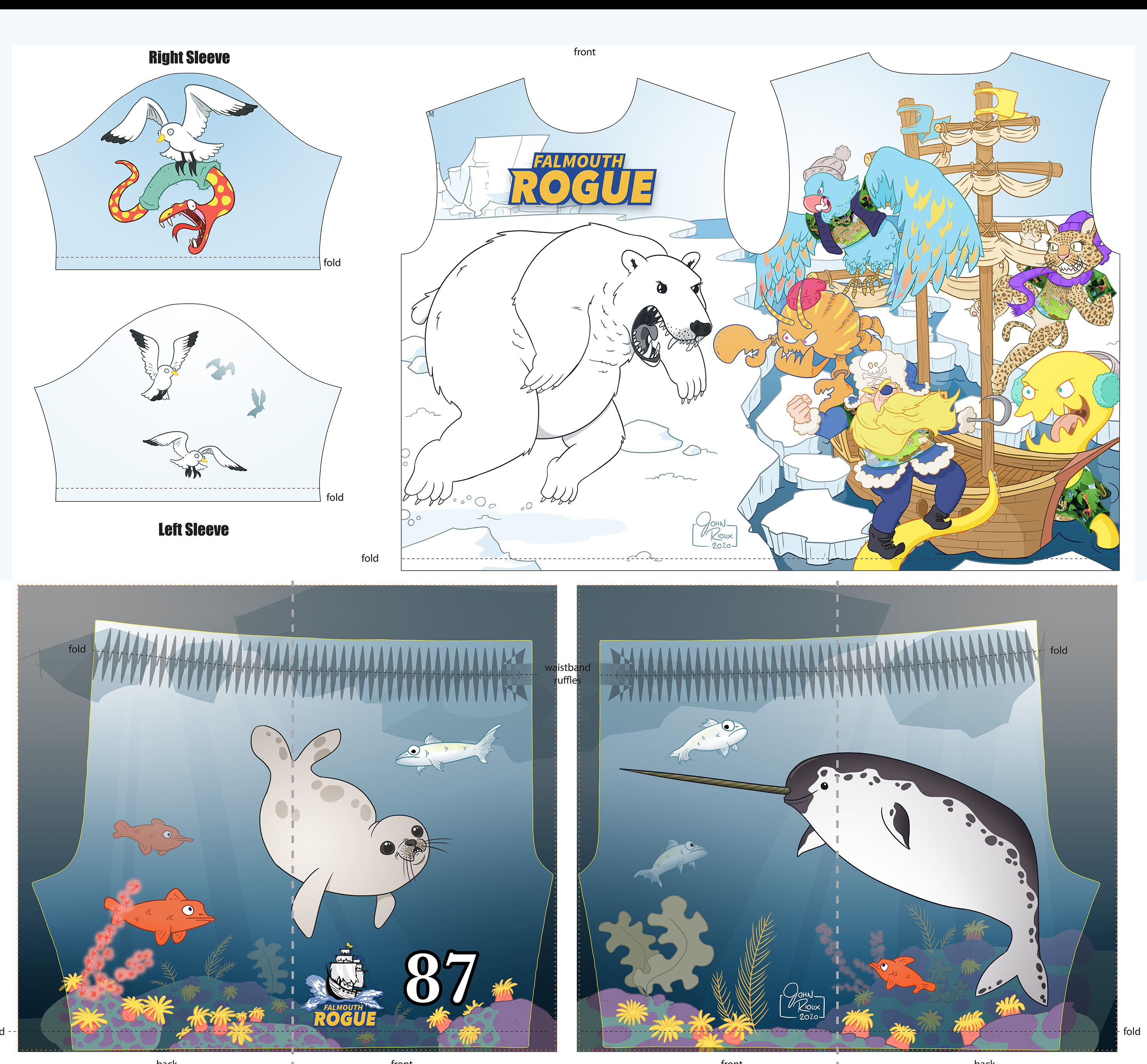 Rogue-2020 kit to share